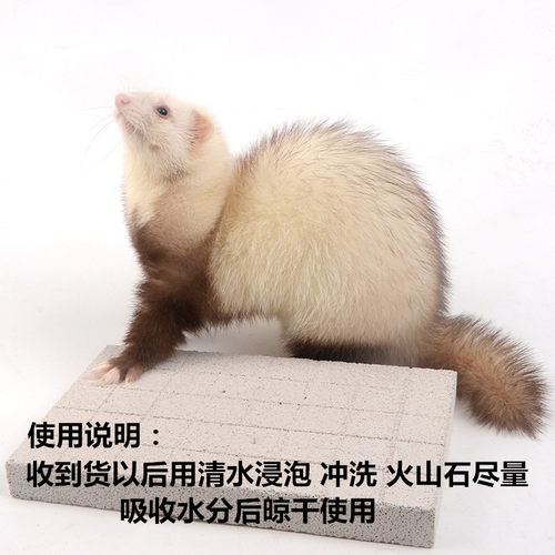 刺猬磨甲板松鼠磨爪用品 放大镜指甲剪兔子磨抓板 磨爪板 - 图2