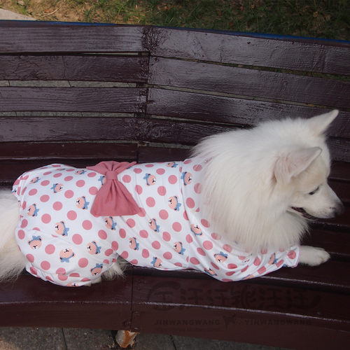 防掉毛宠物大狗狗新款护肘中大型犬衣服睡衣居家保暖四脚衣关节服 - 图2