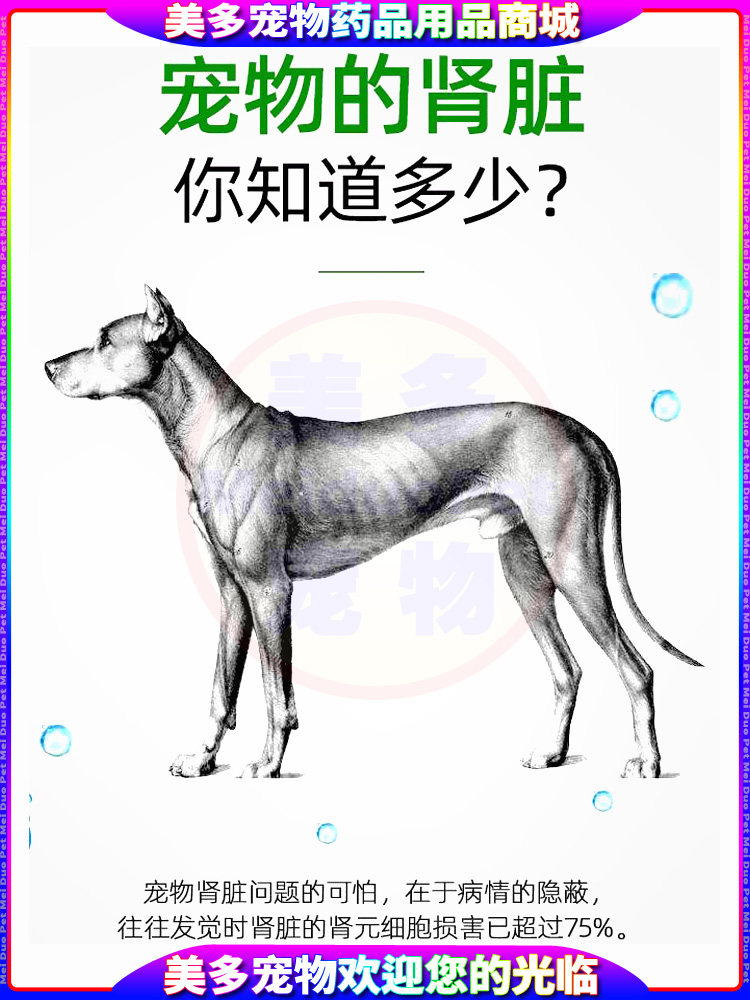 欧博方肾倍健宠物狗狗猫咪犬肾脏养护护理疾病营养保健口服片剂,淘宝优惠券,粉丝福利购,淘宝优惠卷