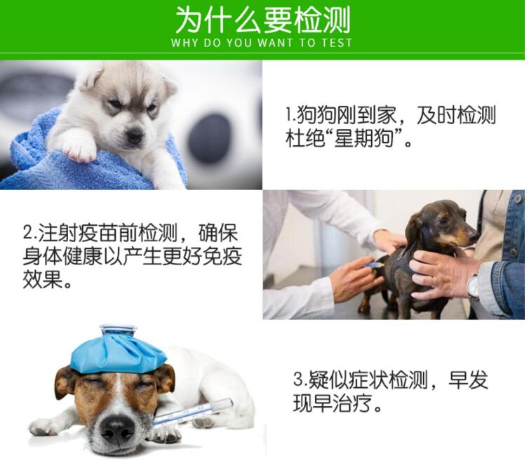 CDV犬瘟热病毒抗原快速检测试纸检测板宠物狗狗犬通用试纸板一套-图0