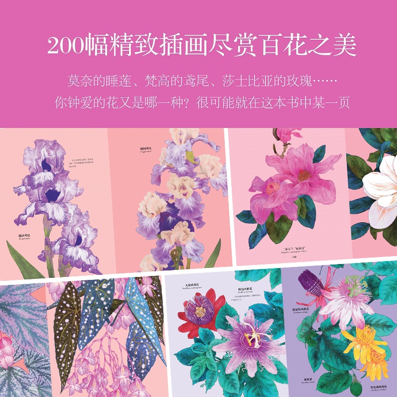 花的姿态 画笔下的繁花盛宴 典藏版 艺术 插画 花卉 绝美艺术插画集邀你共赴繁花之约 北京科学技术 - 图1