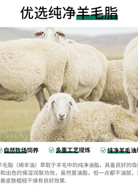 立美丝绵羊油娇嫩补水保湿霜