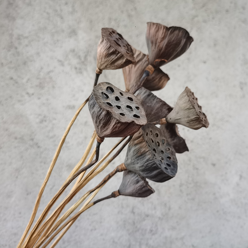 芦苇干花束真花松果风干莲蓬插花天然棉花装饰客厅摆件落地大蒲苇