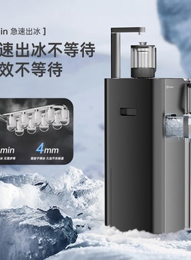 美国卓朗立式制冰净水器家用过滤净饮茶吧机即热制冷一体直饮水机