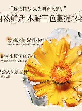 洋甘菊精华原液舒缓修护