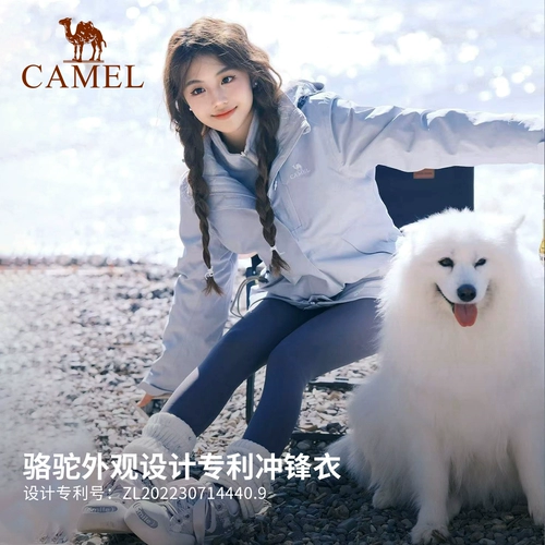 Куртка, черный утепленный мужской демисезонный дорожный водонепроницаемый альпинистский пуховик, «три в одном»