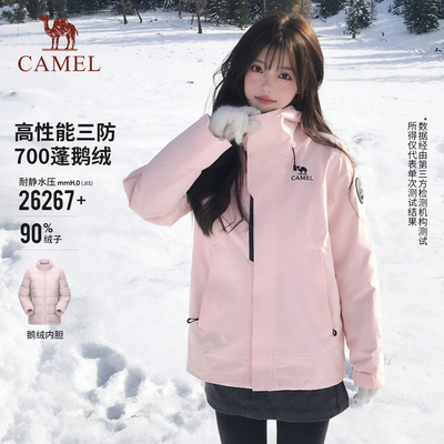 王者铠甲骆驼冲锋衣三合一登山服