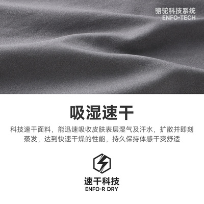 骆驼运动男款速干透气直筒健身裤
