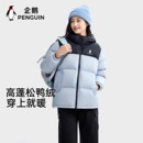 骆驼企鹅女款羽绒服冬季保暖防风短款远山蓝