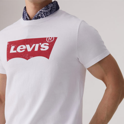 Levi's李维斯情侣男女美式宽松印花时尚LOGO纯棉圆领上衣短袖T恤 - 图3