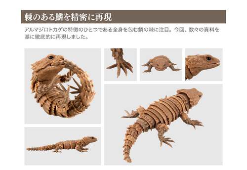 正品万代 仿真动物扭蛋团子虫 鼠妇 犰狳蜥/蜥蜴 西瓜虫鳄龟 螃蟹 - 图1