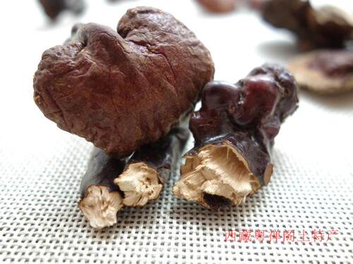 西藏野生灵芝 整枝 深山纯天然 赤白灵芝 正品 50g白肉灵芝茶包邮 - 图3