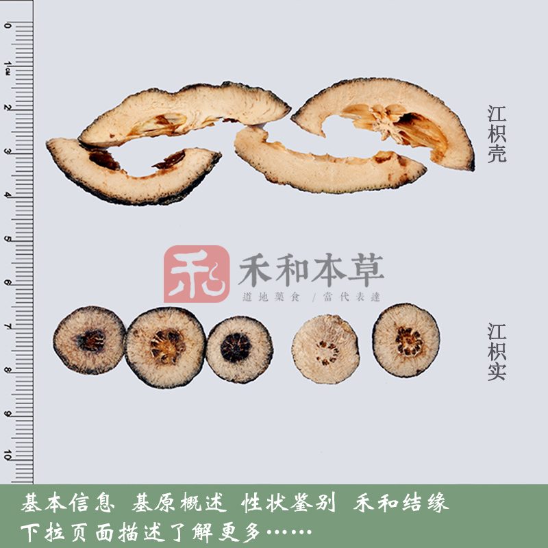 江枳壳药材250克道地江西酸橙片新货无硫含量高新货禾和本草包邮-图0