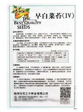 早熟白菜苔蔬菜种子秋冬反季节抽苔速生高产菜苔种孑四季播易种植