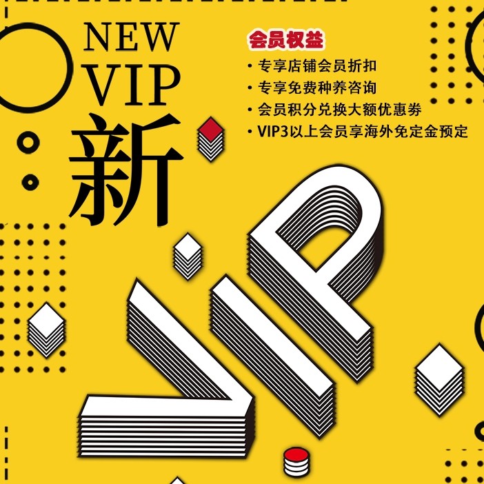 高端定制直播间 (高端定制直播平台)-初仟社区