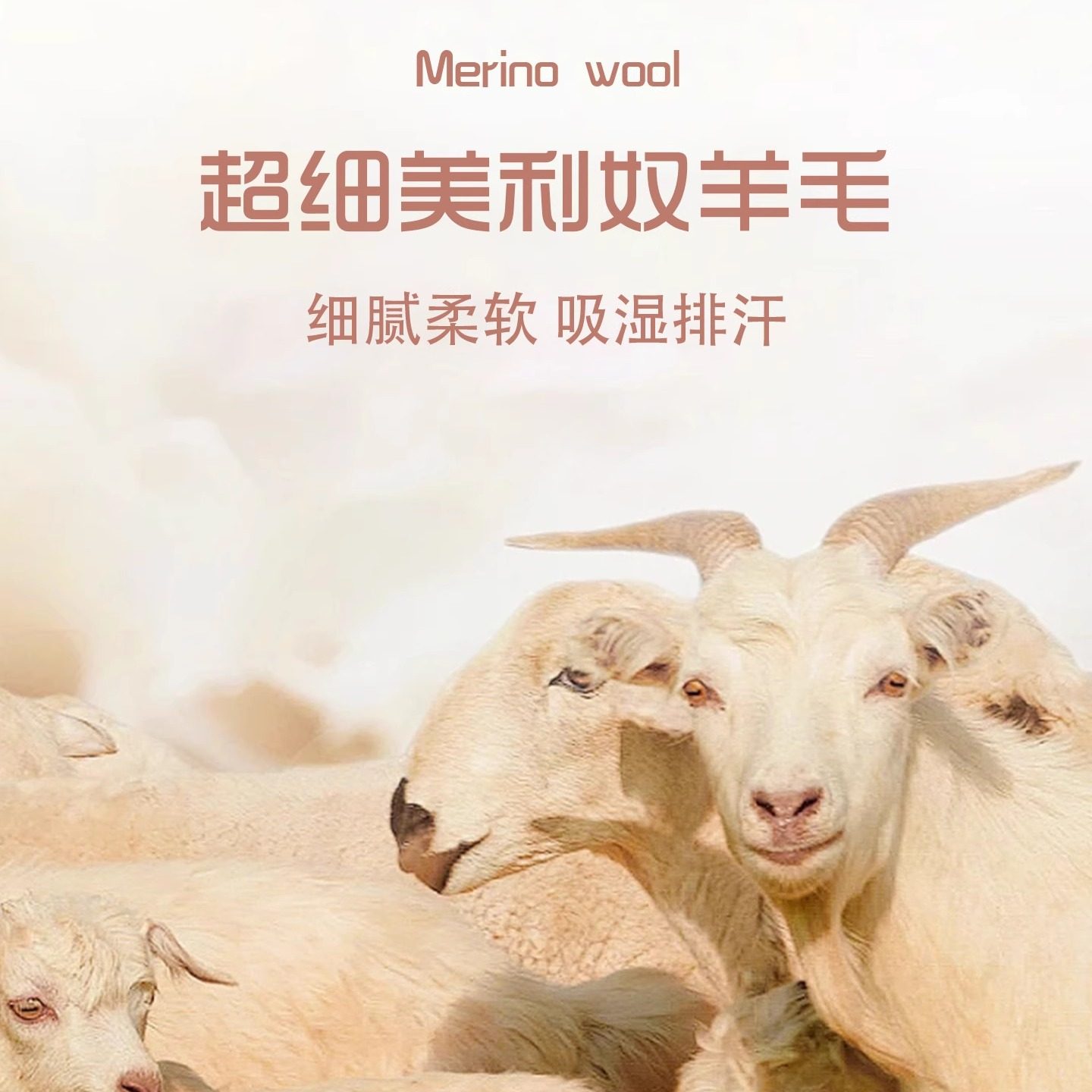 【美利奴羊毛】速干衣瑜伽长袖女T恤健身普拉提休闲圆领运动上衣,淘宝优惠券,粉丝福利购,淘宝优惠卷