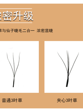 仙子夹心3叶草嫁接睫毛漫画款