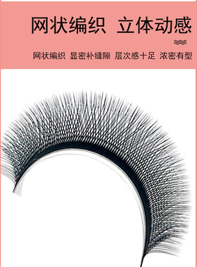 0.05Y型睫毛嫁接12大排