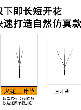 火花三叶草睫毛嫁接长短穿插