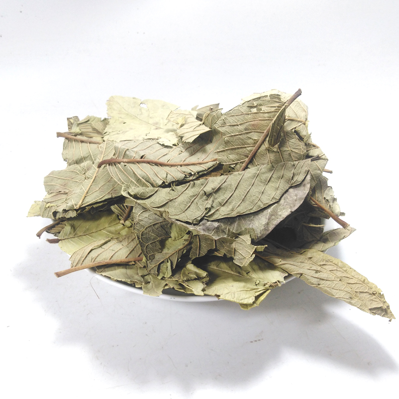 番石榴叶茶500克 野生晒干红心番石榴叶子芭乐叶茶番石榴果干片茶 - 图3