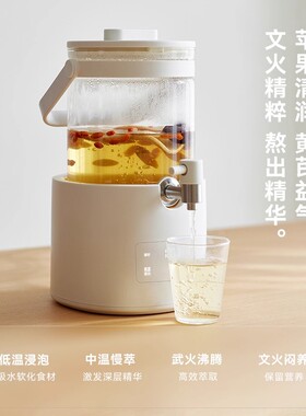 olayks立时全玻璃养生壶家用新款煮茶器烧水壶花茶桶