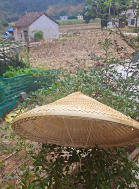越南舞台道具斗笠帽送内圈