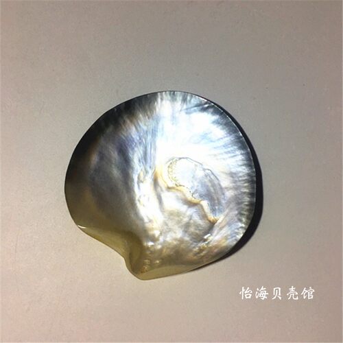 天然珍珠贝大溪地黑蝶贝抛光贝首饰海星贝壳海螺摆件贝壳工艺品 - 图2