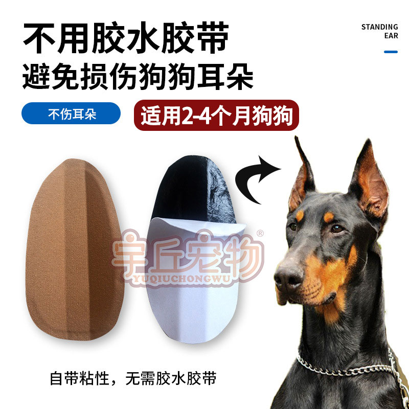 边牧幼犬专用立耳贴边境牧羊犬狗狗耳朵辅助器矫正器固定器免胶水 - 图1