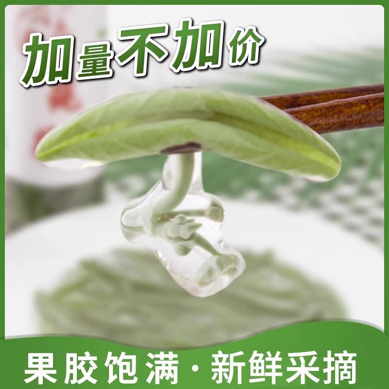 苏州太湖新鲜莼菜300克瓶装东山农家自采特产西湖纯菜马蹄菜利川