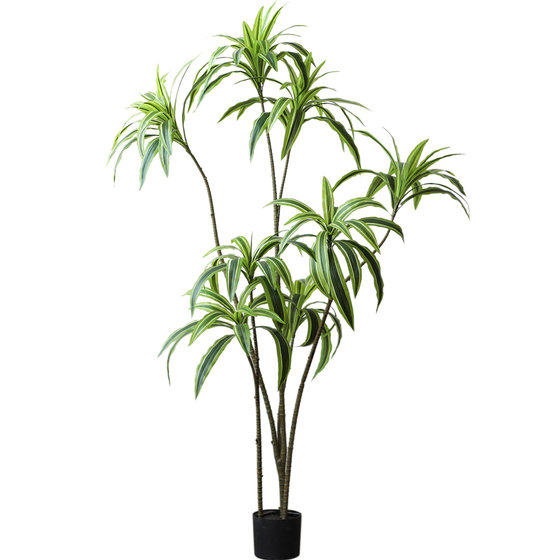 Simulated Brazilian wood floor-standing large green plant movable decoration