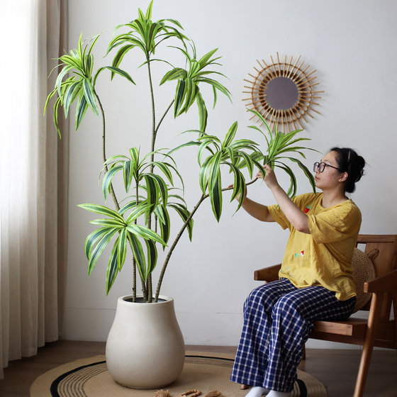 Simulated Brazilian wood floor-standing large green plant movable decoration
