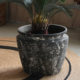 Courtyard balcony tree pot bird of paradise extra large retro