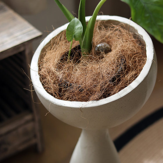 Harasuke Home Furnishing Magnesite Nordic Flower Pot