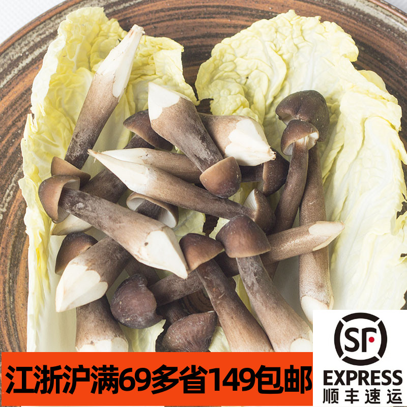 新鲜食用黑皮鸡枞菌250g菌菇菌类蘑菇Mushroom火锅煲汤食材-图0