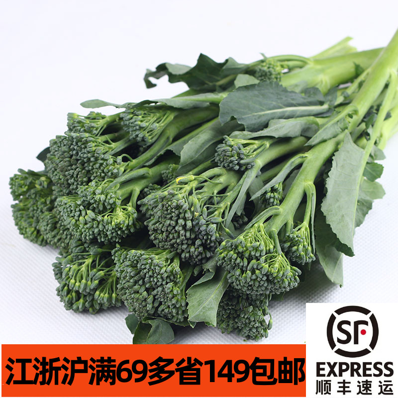 新鲜兰花苔500g迷你西兰花甜杆西兰苔芥兰苔蔬菜青菜口感甜脆-图0