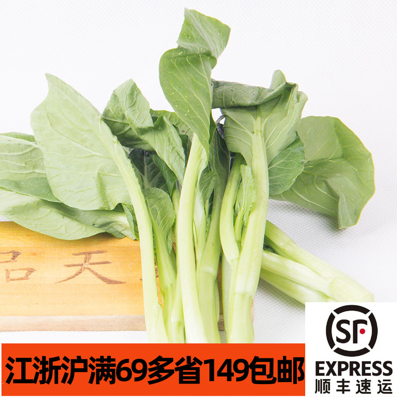 新鲜广东菜心500g 菜薹青菜 非小芥兰 可白灼清炒 广东菜粤菜食材 - 图0