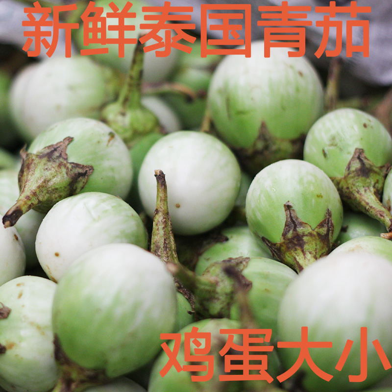 新鲜泰式圆茄青茄非幼茄eggplant绿咖喱原料东南亚食材云南小茄子 - 图2