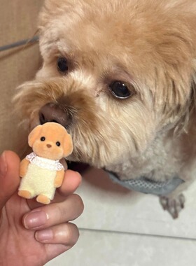 贵宾犬毛绒小鼻嘎公仔