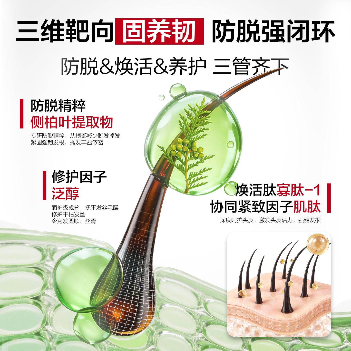 【防脱固发】韩束防脱洗发水蓬松去屑固发洗头膏洗发露侧柏叶腺苷