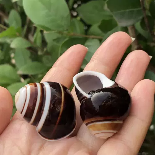 Натуральные черные улитки, аквариум, сменный образец, хлеб