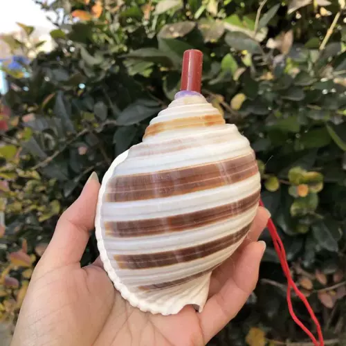 Натуральный мегафон, большой свисток, игрушка