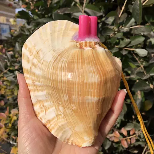 Натуральный мегафон, большой свисток, игрушка