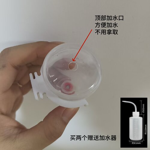贝子撞针饮水器 小号塑料送加水器包邮黄鸟金青饮水器包邮 - 图3