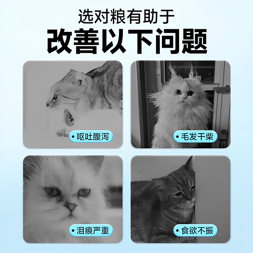 雷米高猫粮5斤装澳宝成猫幼猫增肥营养英短包邮海洋鱼味猫咪主粮 - 图1