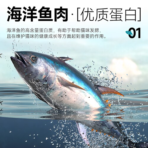 雷米高猫粮5斤装澳宝成猫幼猫增肥营养英短包邮海洋鱼味猫咪主粮 - 图2