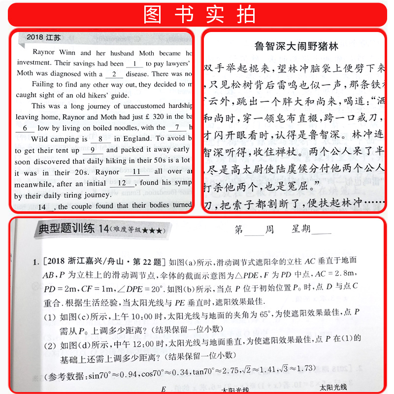 周计划初中语文数学英语七年级八年级九年级上册下册专项训练初一基础知识计算题现代文文言文作文几何代数阅读理解高效训练练习题-图2