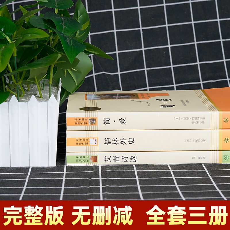 共3本 艾青诗选儒林外史简爱正版原著完整版九年级人民教育出版社无删减人教版初三初中生文学课外书青少年版课外阅读读物书籍必读 - 图1