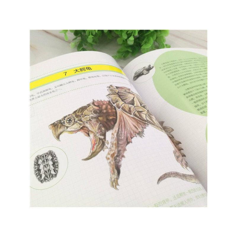 养好宠物龟手绘图鉴 45种宠物乌龟巴西龟草龟黄耳大鳄龟黑靴特点生活环境搭建喂养方法繁殖龟病防治饲养宠物龟指导参考图书K,淘宝优惠券,粉丝福利购,淘宝优惠卷