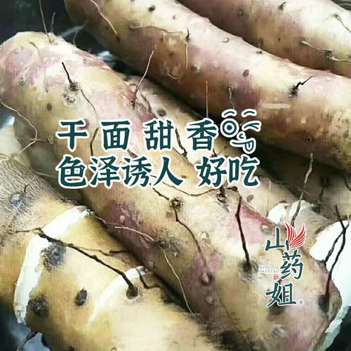 山药姐焦作温县垆土铁棍正宗怀山药河南特产粉糯面山药5斤简装 - 图2