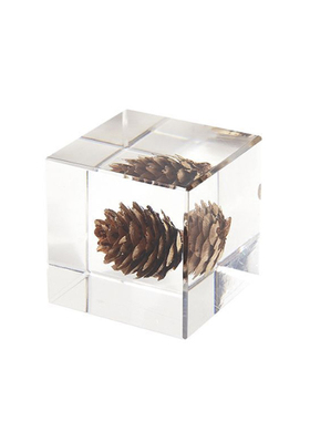 【可开发票】果实标本画书房摆件